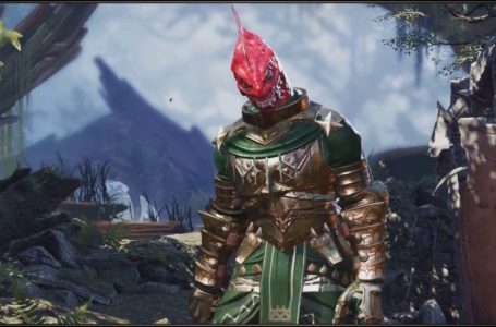  All Companions & Where To Find Them in Divinity Original Sin 2 