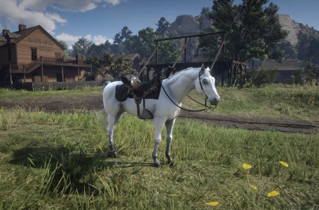  Red Dead Redemption 2: Where To Find The White Arabian Elite Horse Location 