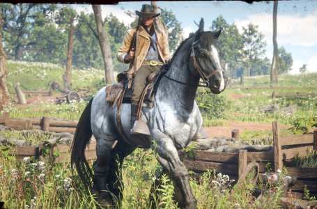  Where To Find War Horse Location In Red Dead Redemption 2 