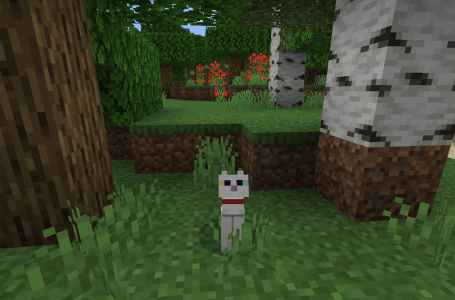  How to tame Cats in Minecraft 