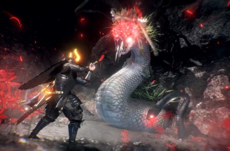  What is Anima in Nioh 2? 