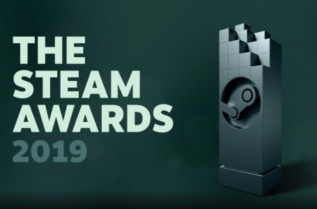  All Steam Award Winners of 2019 