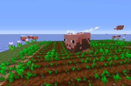  Pigs Can Fly in Minecraft, Thanks to This New Texture Pack 