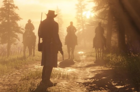  Nintendo Switch Controller Texture Found in Red Dead Redemption 2 