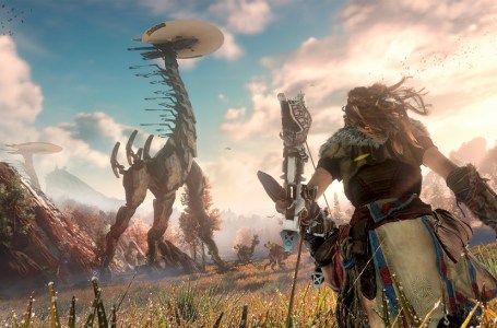  Horizon Zero Dawn Coming To PC This Year, Sources Say 