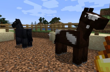  How to Breed Horses in Minecraft 