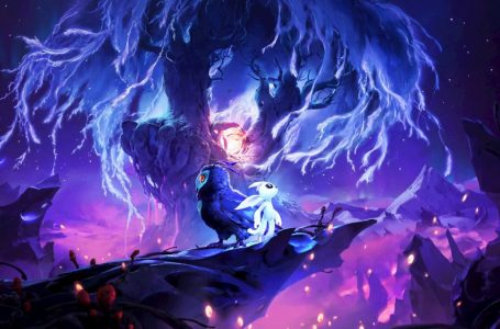  Is Ori and the Will of the Wisps on Nintendo Switch? 