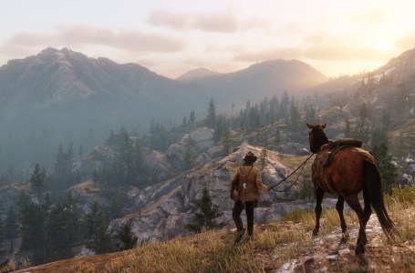  Parasol Mushroom Locations in Red Dead Redemption 2 