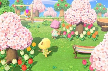  Everything revealed in the Feb. 20 Animal Crossing Nintendo Direct 