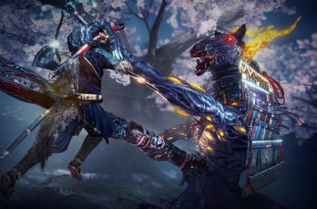  How to get the Friend to the Kodama Achievement in Nioh 2 – What to do with purple Kodama 