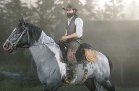  Red Dead Redemption 2 Best And Rare Revolvers Unlock Guide 