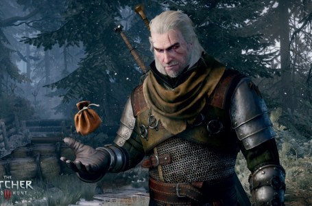  The best mods for The Witcher 3: Wild Hunt 