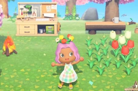  What is the Error Code: 2219-2502 for Animal Crossing: New Horizons? 