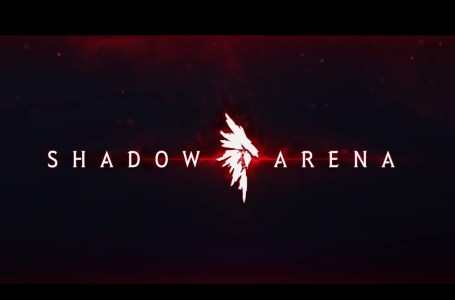  Black Desert Online’s battle royale spin-off, Shadow Arena, enters beta this month 