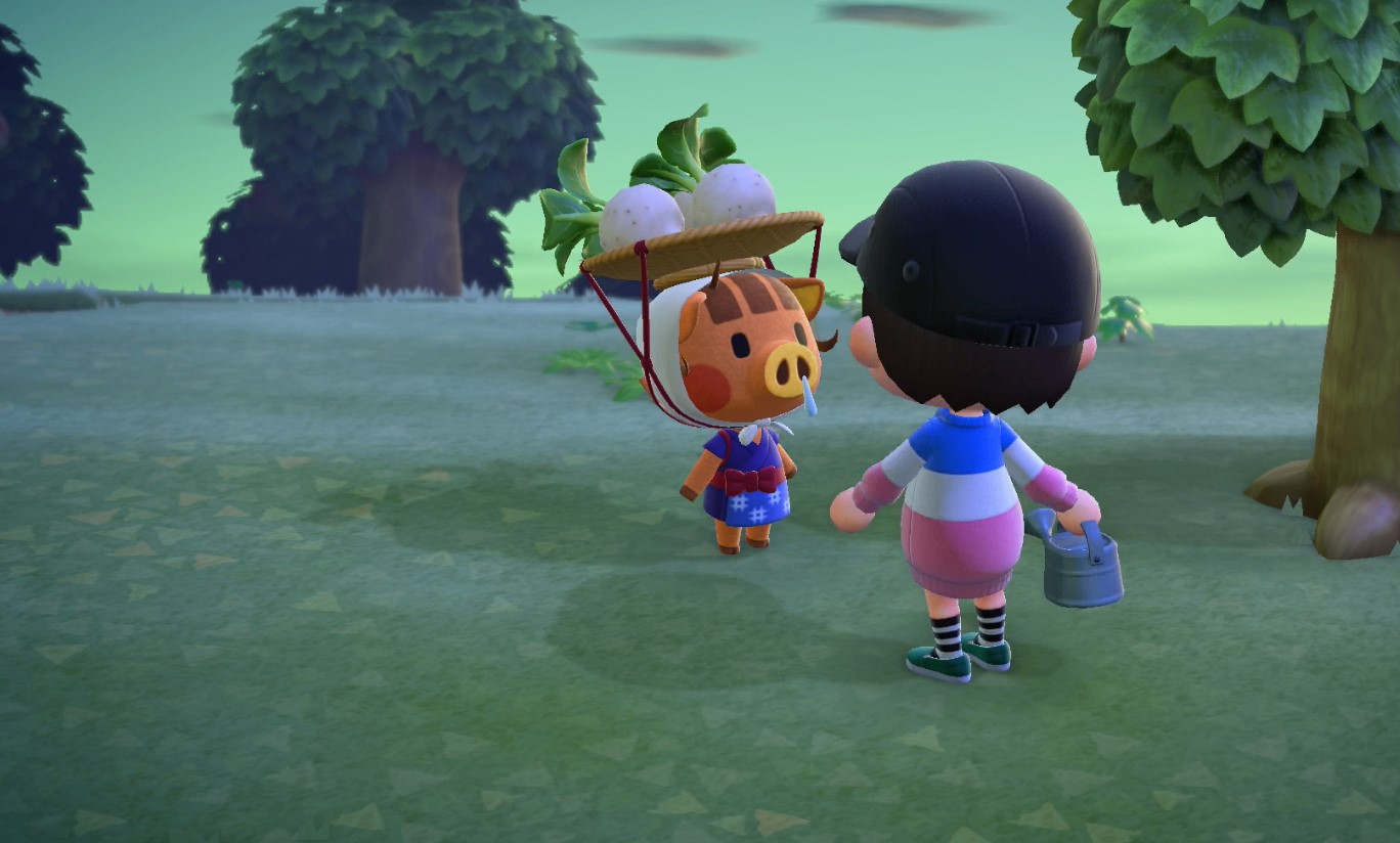 Animal Crossing: New Horizons