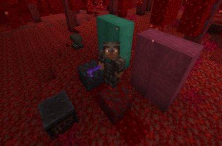  Minecraft Snapshot 20W10A details 