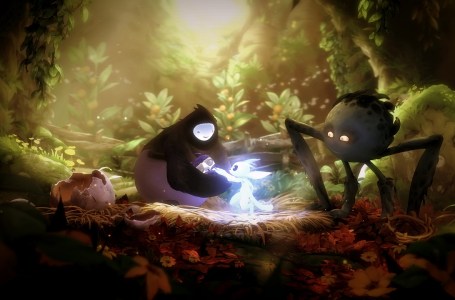  If Ori and the Will of the Wisps gets ported to Switch, don’t expect 60 fps, says dev 