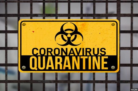  The 5 best quarantine-related games to play 