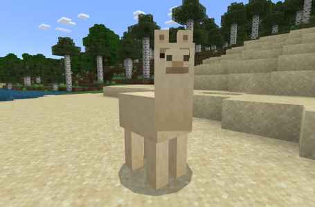  How to tame and ride Llamas in Minecraft 