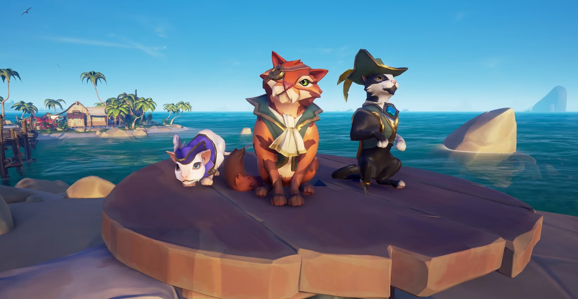  How to get cats and all available in Sea of Thieves 