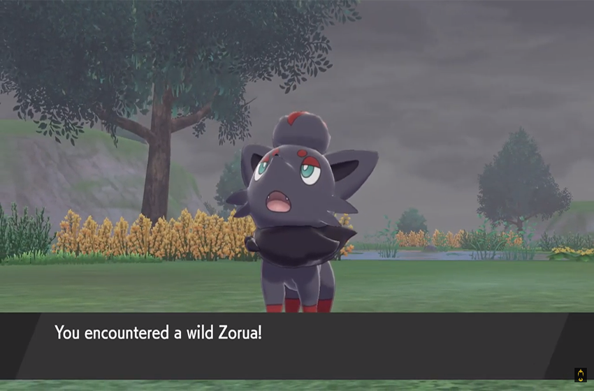  How to get Zorua in Pokemon Sword and Shield’s Isle of Armor 