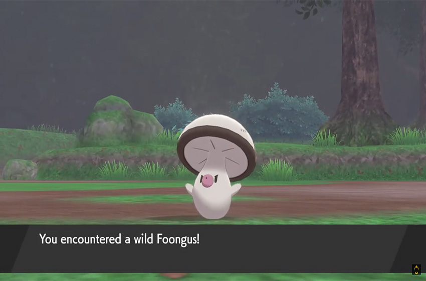  How to get Foongus and Amoongus in Pokemon Sword and Shield’s Isle of Armor 