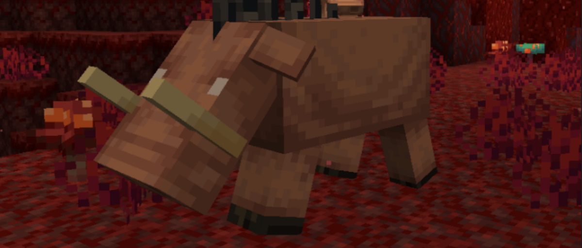  How to leash a Hoglin in Minecraft’s Nether Update 