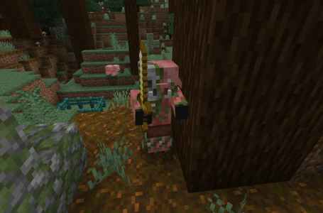  How to turn a Piglin into a Zombified Piglin in Minecraft 