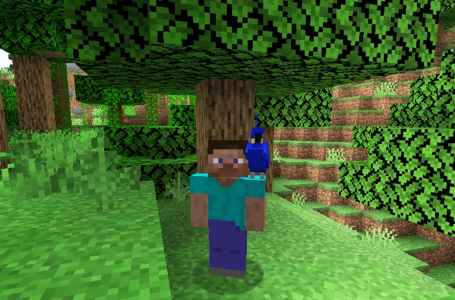  How to tame Parrots in Minecraft 