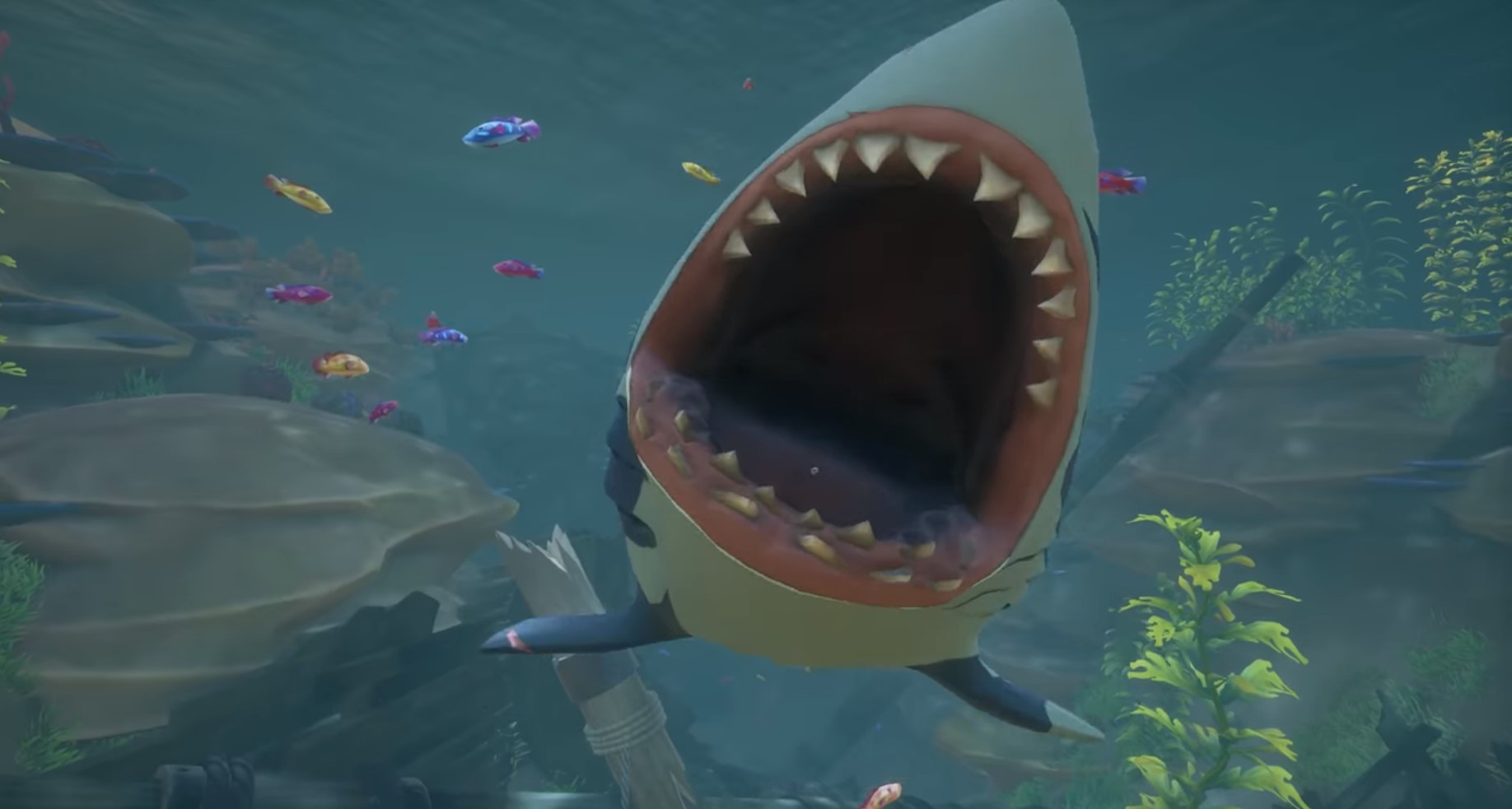  How to get Shark Teeth Tokens in Sea of Thieves 