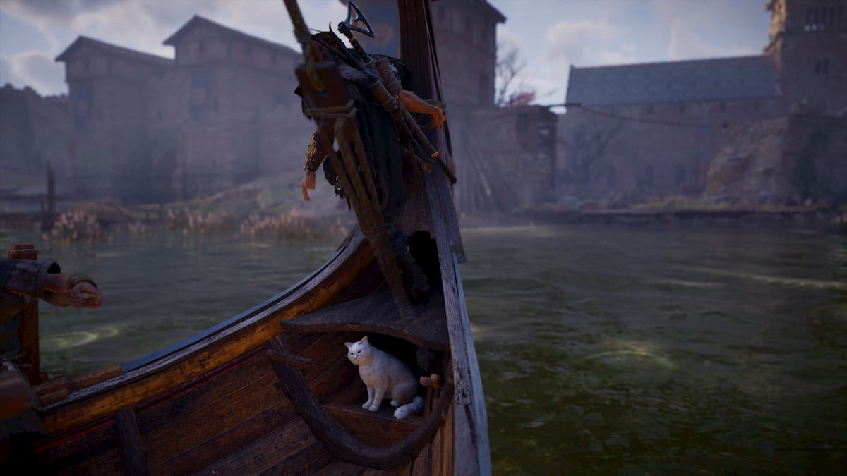  How to get the cat companion for your longship in Assassin’s Creed Valhalla 