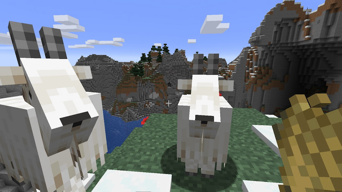  How to tame Goats in Minecraft 