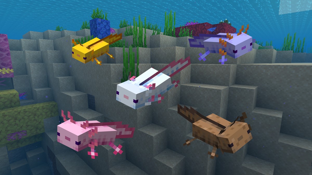  All Axolotl color variants in Minecraft 