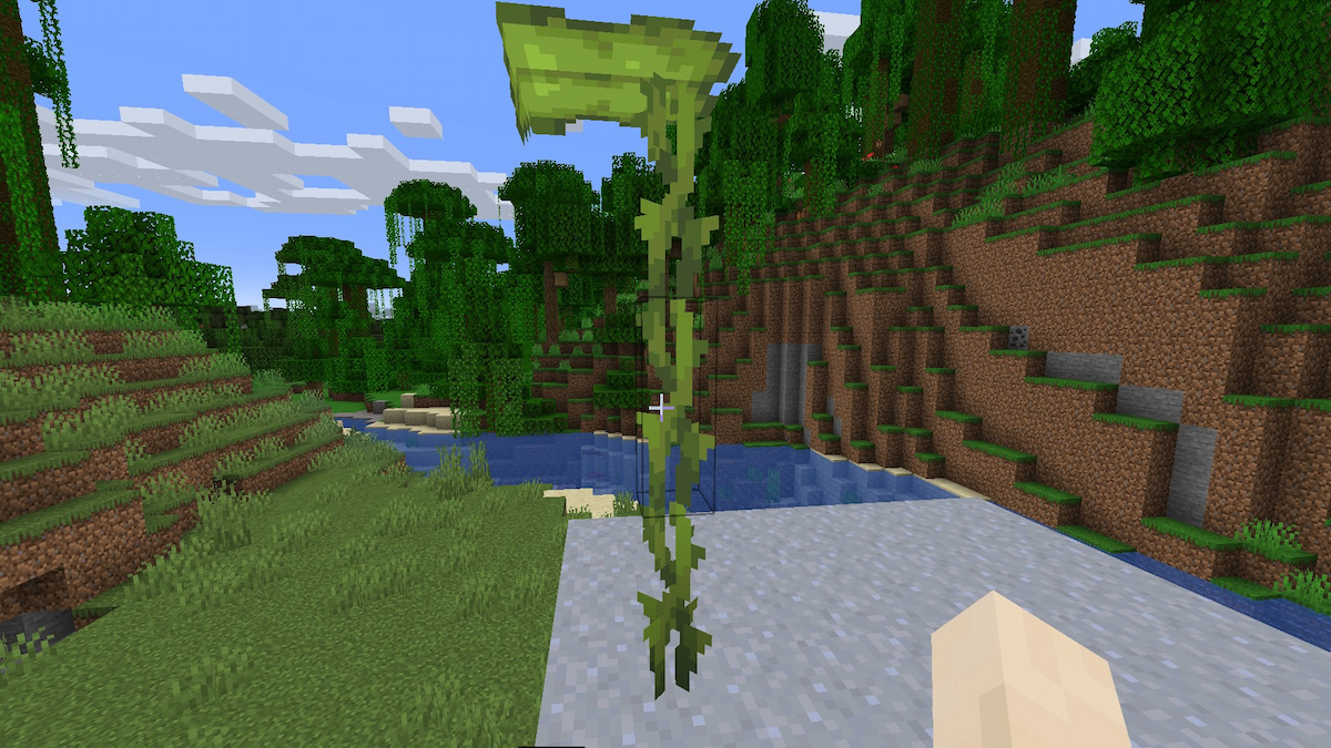  Can you grow a Small Dripleaf in Minecraft? 