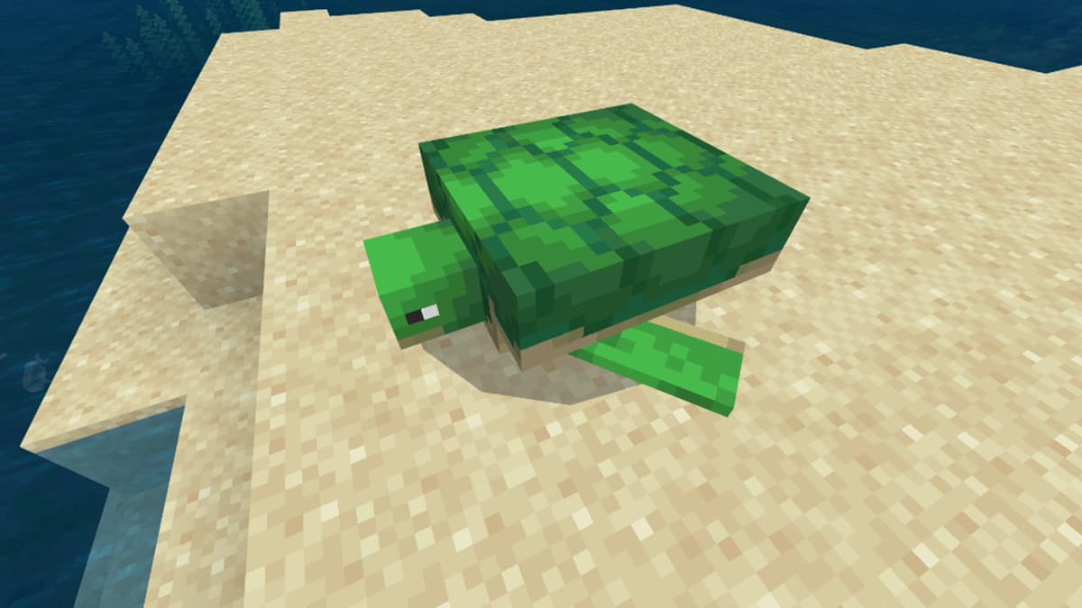  How to get Sea Turtle Eggs in Minecraft 