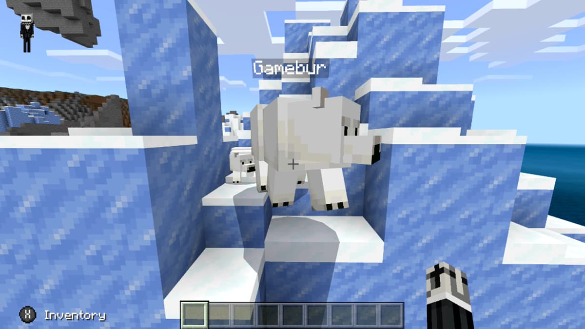  What do polar bears eat in Minecraft? 