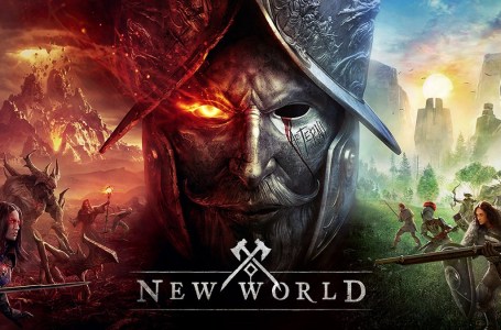  How to access the New World open beta 