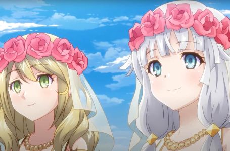  Does Rune Factory 5 have gay marriage? 