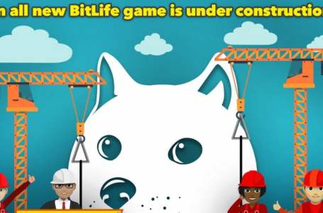  BitLife creators Candywriter potentially announce next game, DogLife — or they’re trolling fans 