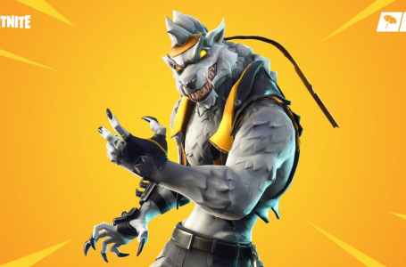  Where to find Dire in Fortnite Chapter 2 Season 8 – NPC #22 Location 