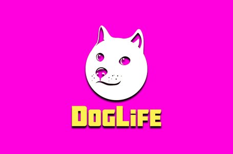  How to unlock the Over Sheltered Achievement in DogLife 