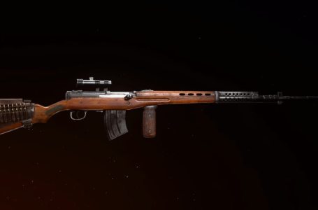  Best SVT-40 loadout in Call of Duty: Vanguard and Warzone Pacific 