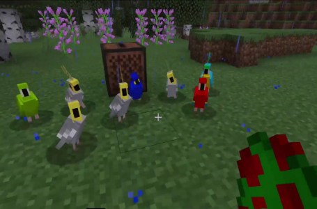  How to make parrots dance in Minecraft 