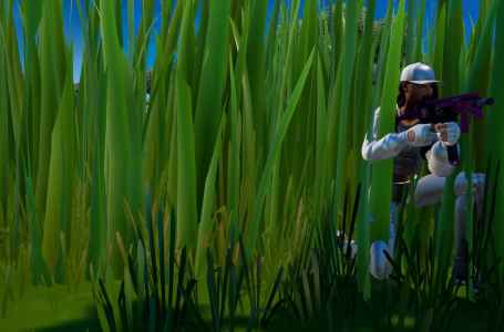  Where to hide in Tall Grass for 10 seconds in Fortnite Chapter 3 Season 1 