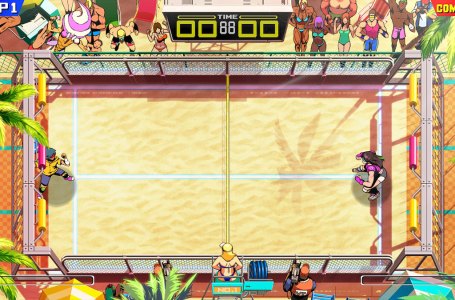  All Windjammers 2 courts explained 