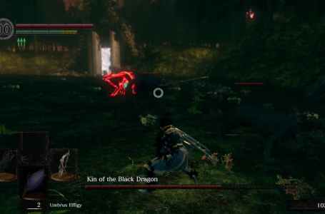  How to beat Kin of the Black Dragon in the Dark Souls: Nightfall demo 