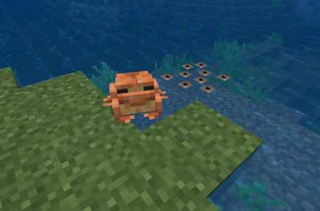  How to pick up Tadpoles in Minecraft 