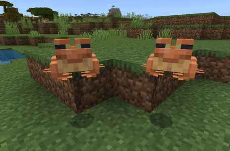  How high can Frogs jump in Minecraft? 