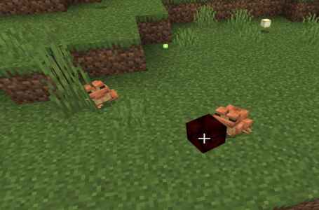  How to make Pearlescent, Ochre, and Verdant Froglights in Minecraft 