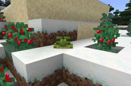  How to spawn Cold, Temperate, or Warm Frogs in Minecraft 